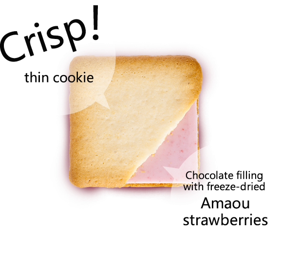 Crisp thin cookie! Chocolate filling with freeze-dried Amaou strawberries