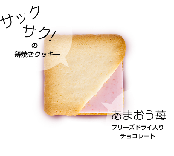 サックサク！の薄焼きクッキー あまおう苺フリーズドライ入りチョコレート